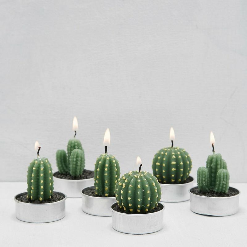 Succulent Desert Candles 6pcs