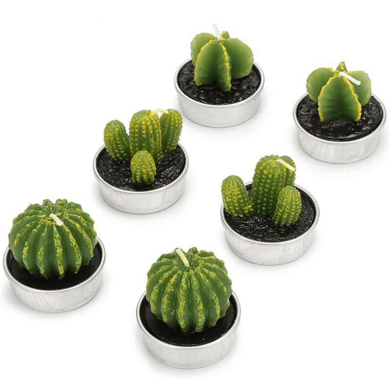 Succulent Desert Candles 6pcs
