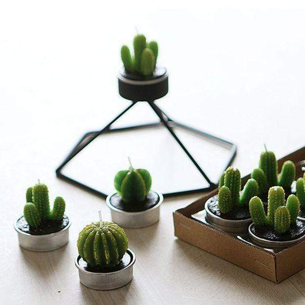Succulent Desert Candles 6pcs