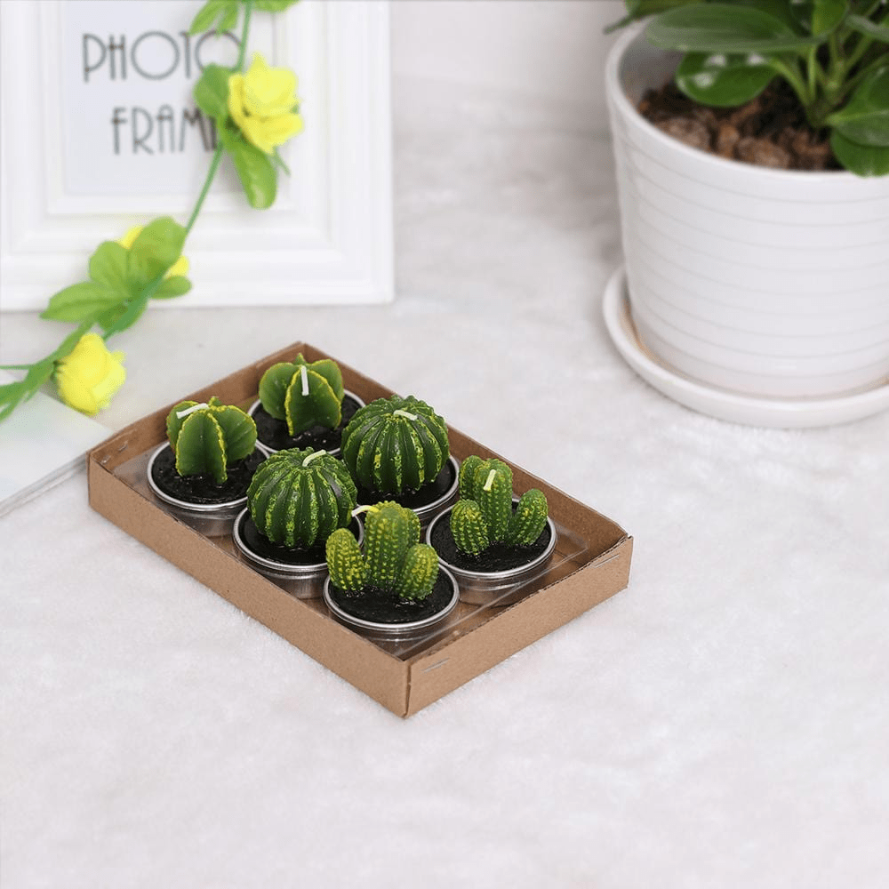 Succulent Desert Candles 6pcs