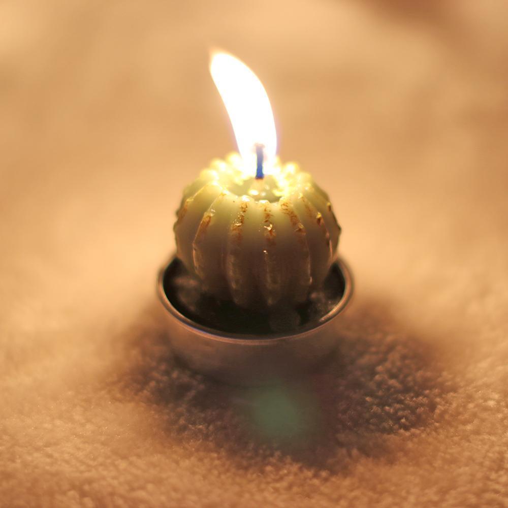Succulent Desert Candles 6pcs