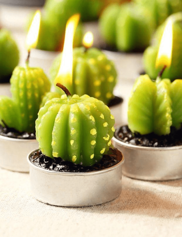 Succulent Desert Candles 6pcs