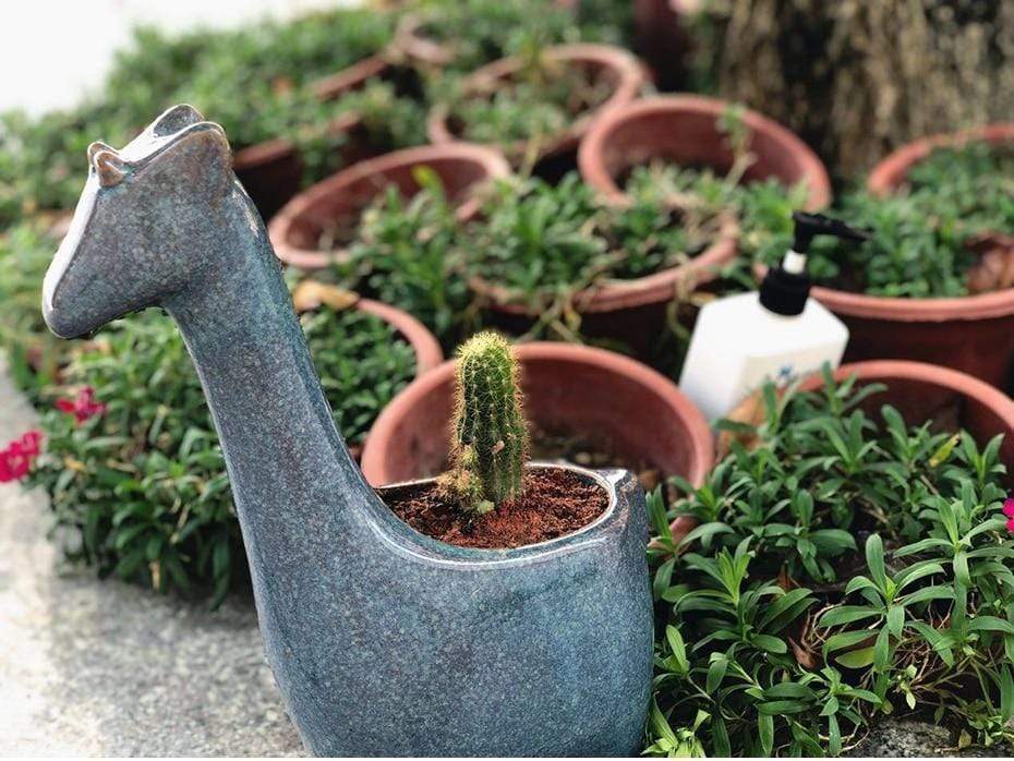 Giraffe Planter Pot