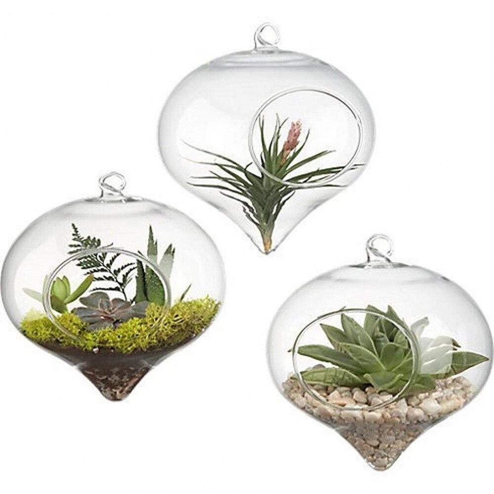 Glass Hanging Terrarium