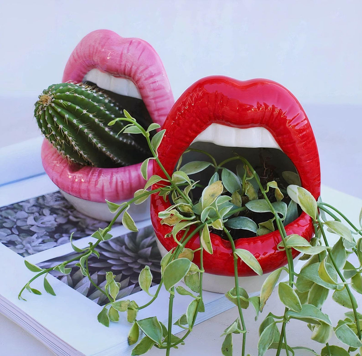 Lips Ceramic Planter