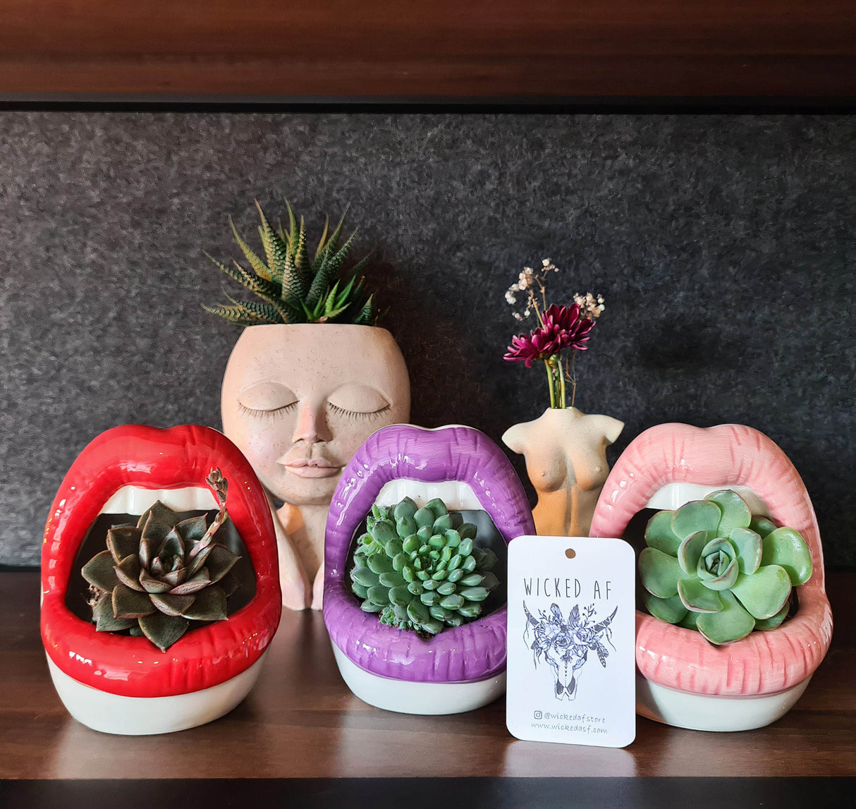 Lips Ceramic Planter