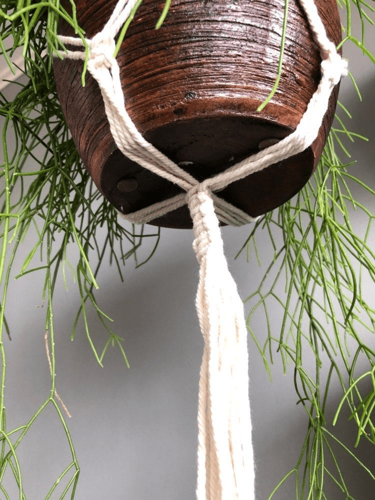 Simple Knotted Plant Hanger (2 Styles)