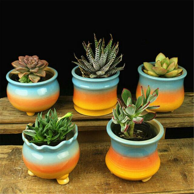 Sunset Pots
