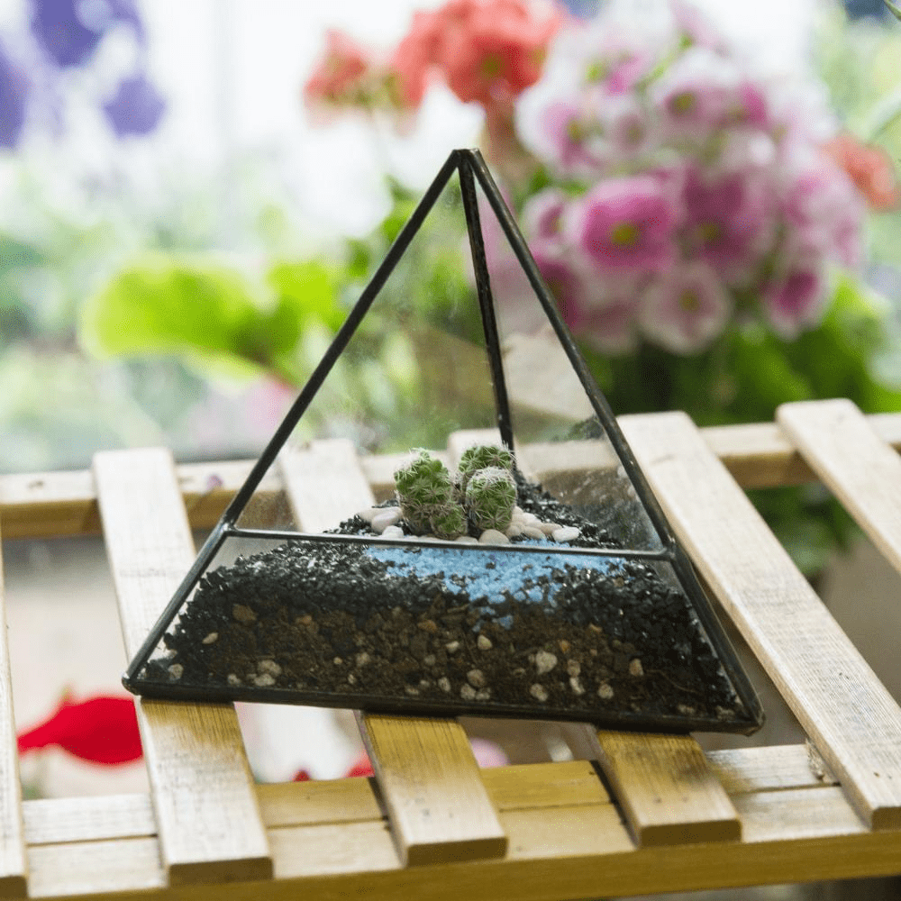 Glass Pyramid Plant Terrarium