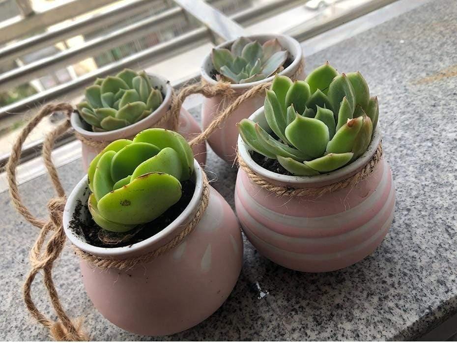 4pcs Multicolor Cauldron-Shaped Ceramic Planters
