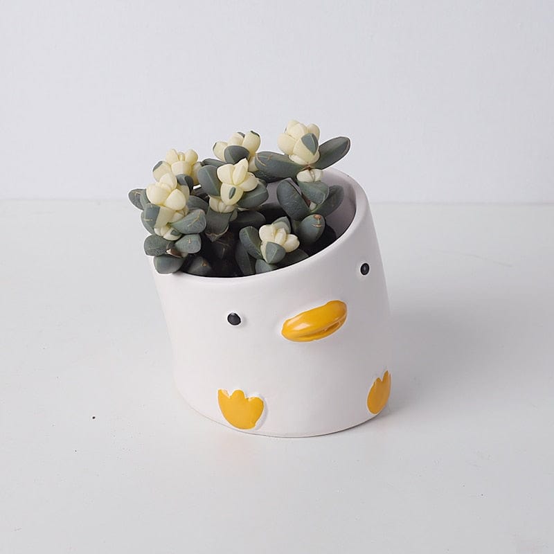 Cartoon Animal Flower Pot