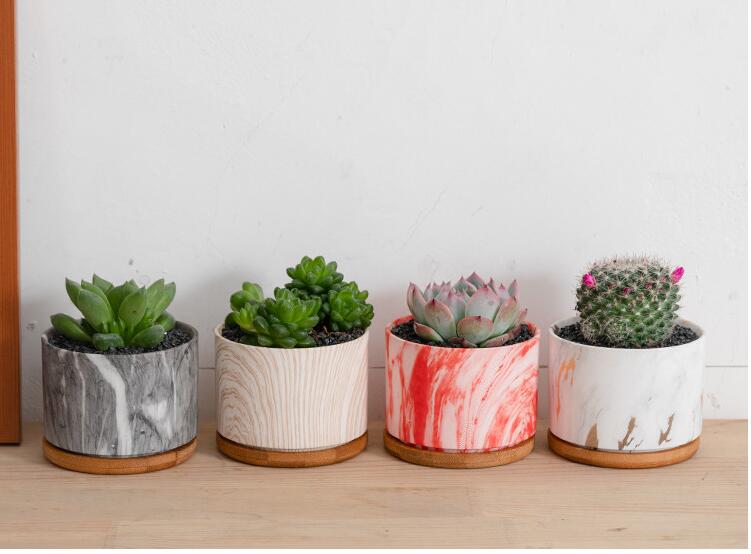 Colorful Tie Dye Flower Pot