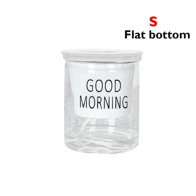 Hydroponic Lazy Self-Watering Flowerpot