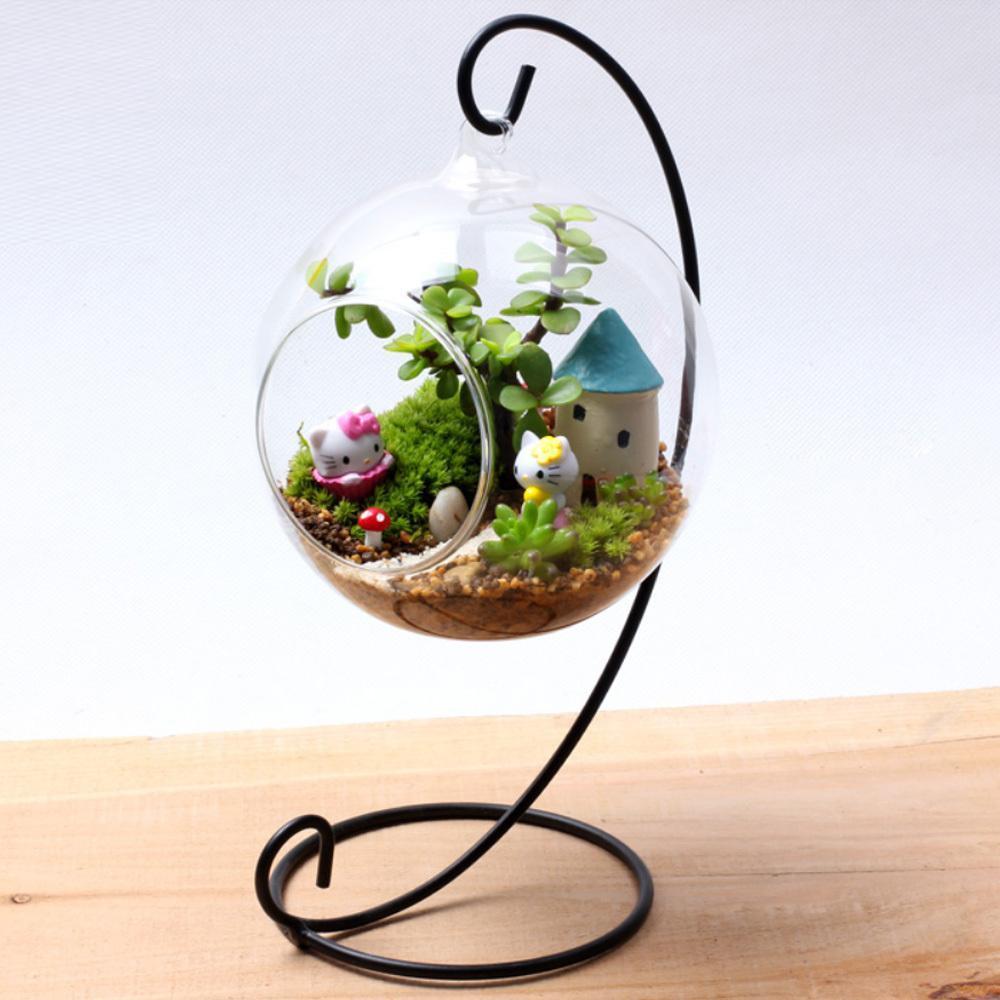 Glass Ball Hanging Terrarium