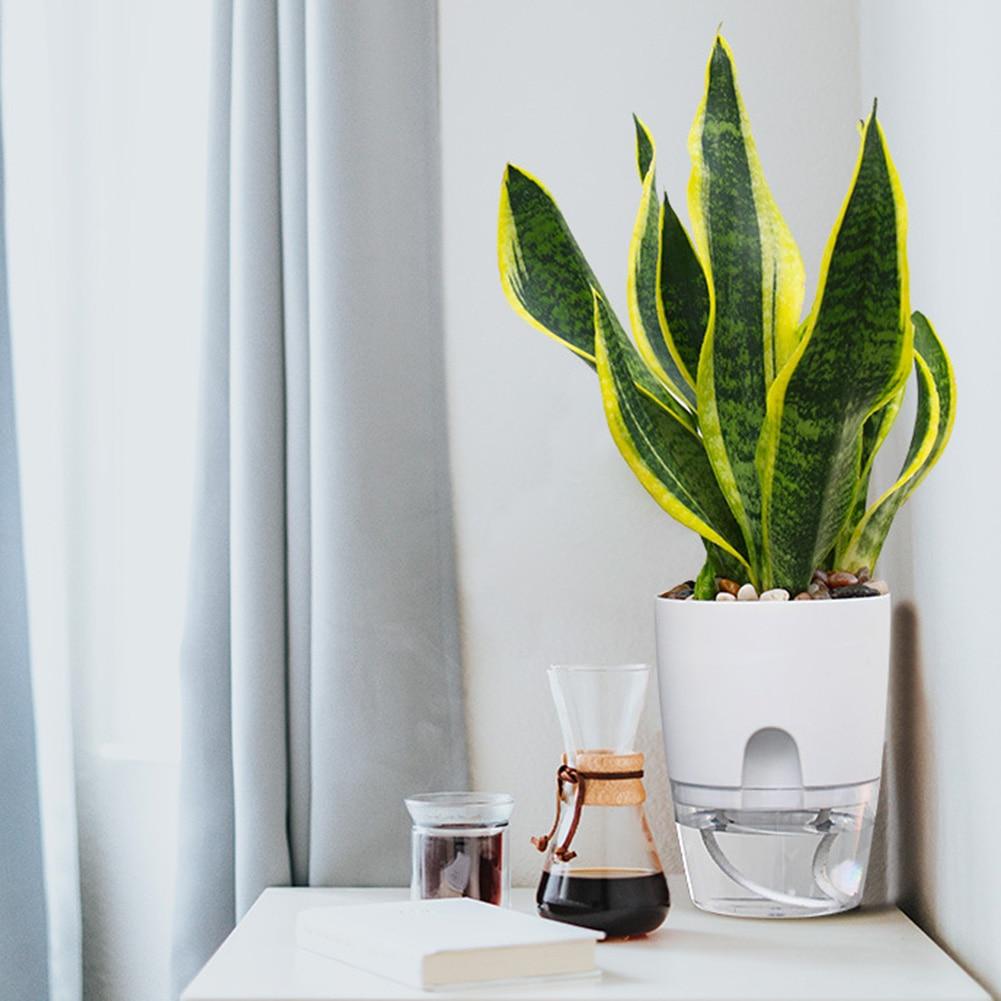 Hydroponic Flowerpot