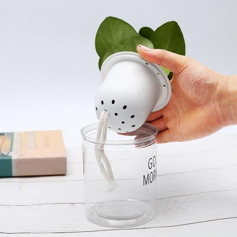 Hydroponic Lazy Self-Watering Flowerpot