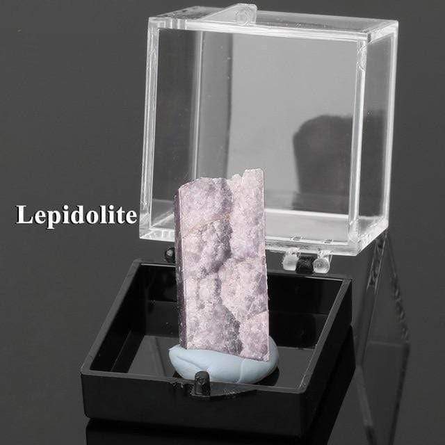 Irregular Natural Stones Specimens