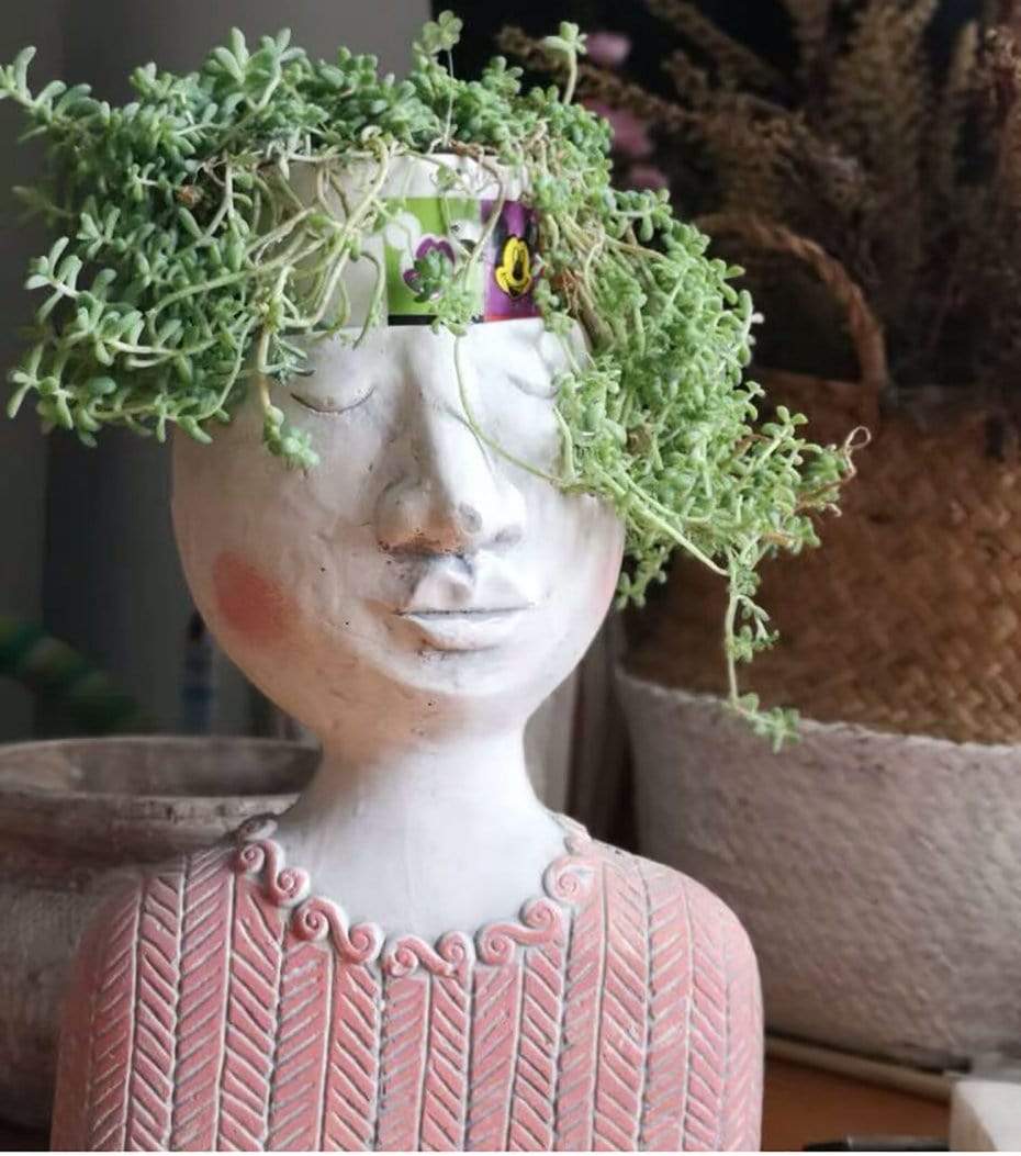 Nordic Family Face Planter