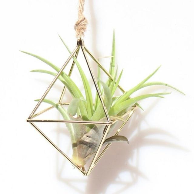Swing Rhombus Plant Holder