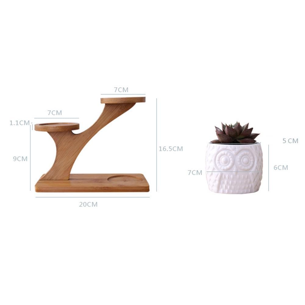 Owl Ceramic 3 tier Bamboo Set