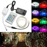 12V 5M 50LED Silver Wire Christmas String Fairy Light Remote Controller with Adapter - Lighting