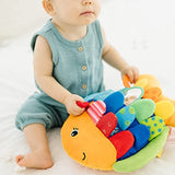 Flip Fish Soft Baby Toy