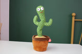 Dancing Cactus Toy | Kids Baby Toy With Talk-Back Repeat Mimic and Speak Option