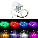 12V 5M 50LED Silver Wire Christmas String Fairy Light Remote Controller without Adapter - Lighting