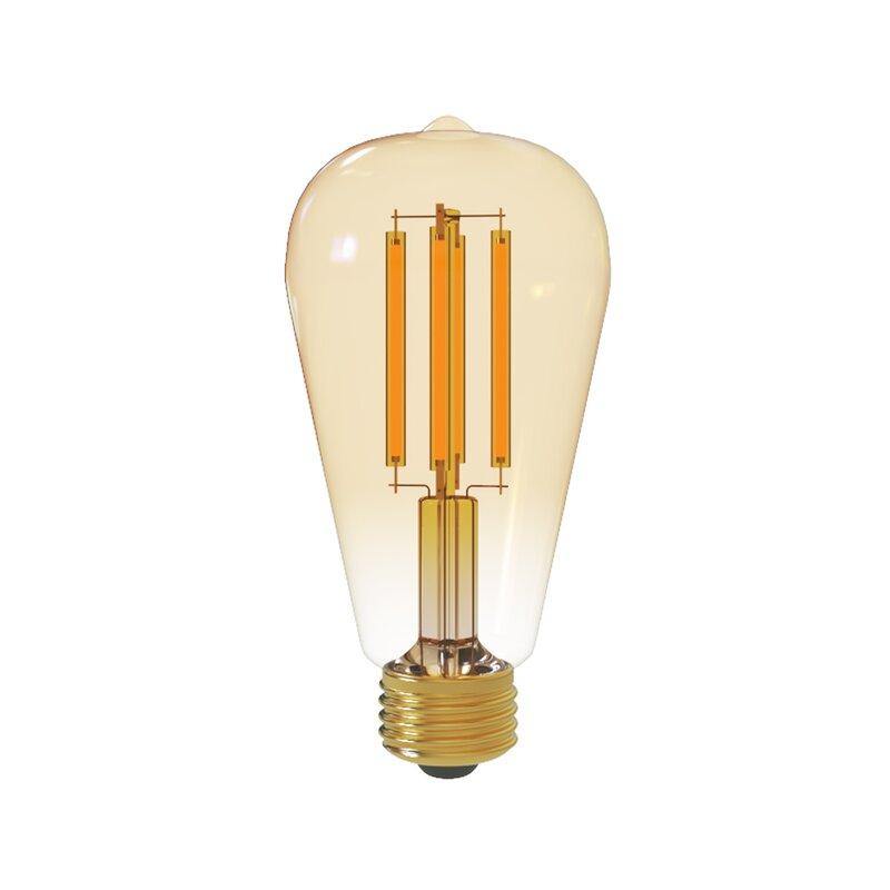 ST0001-002 5 Watt ,60 Watt Equivalent, ST19 LED, Dimmable Light Bulb, Warm White 2200K E26/Medium Standard Base