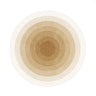 Light Luxury Cloakroom Round Floor Mat Fluffy Soft Lounge Rug Simple Bedroom Decor Gradient Carpet Thick Carpets for Living Room