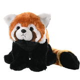 The Brown Panda Plush Toy