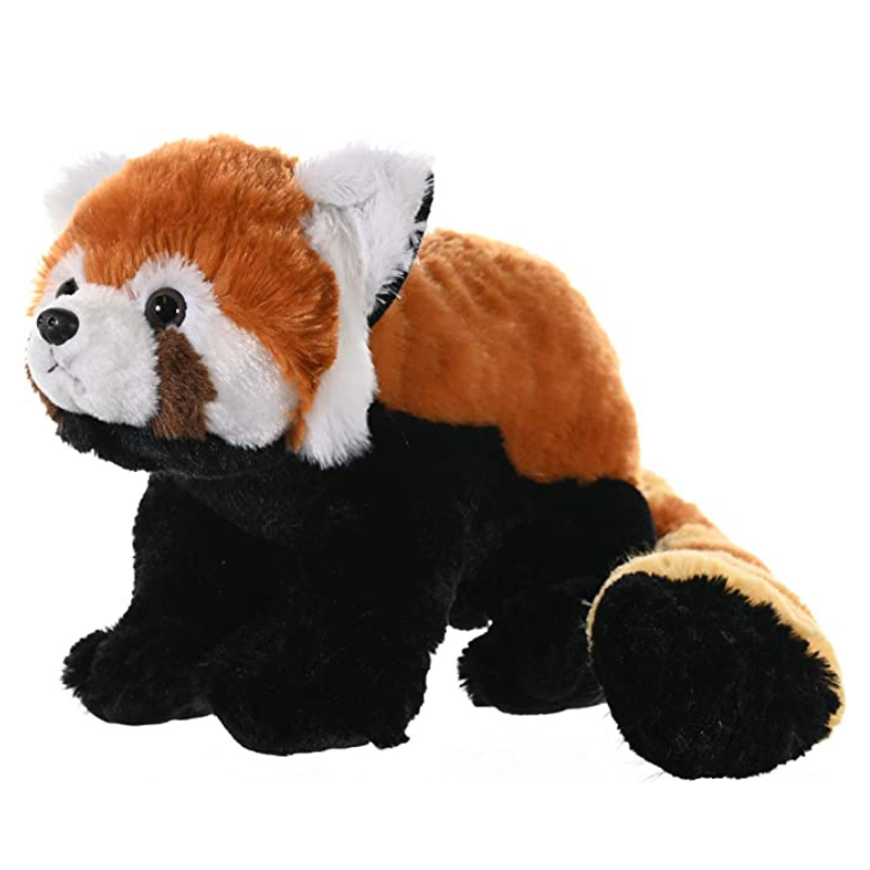 The Brown Panda Plush Toy