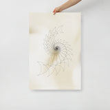 Ammonite Sketch 2