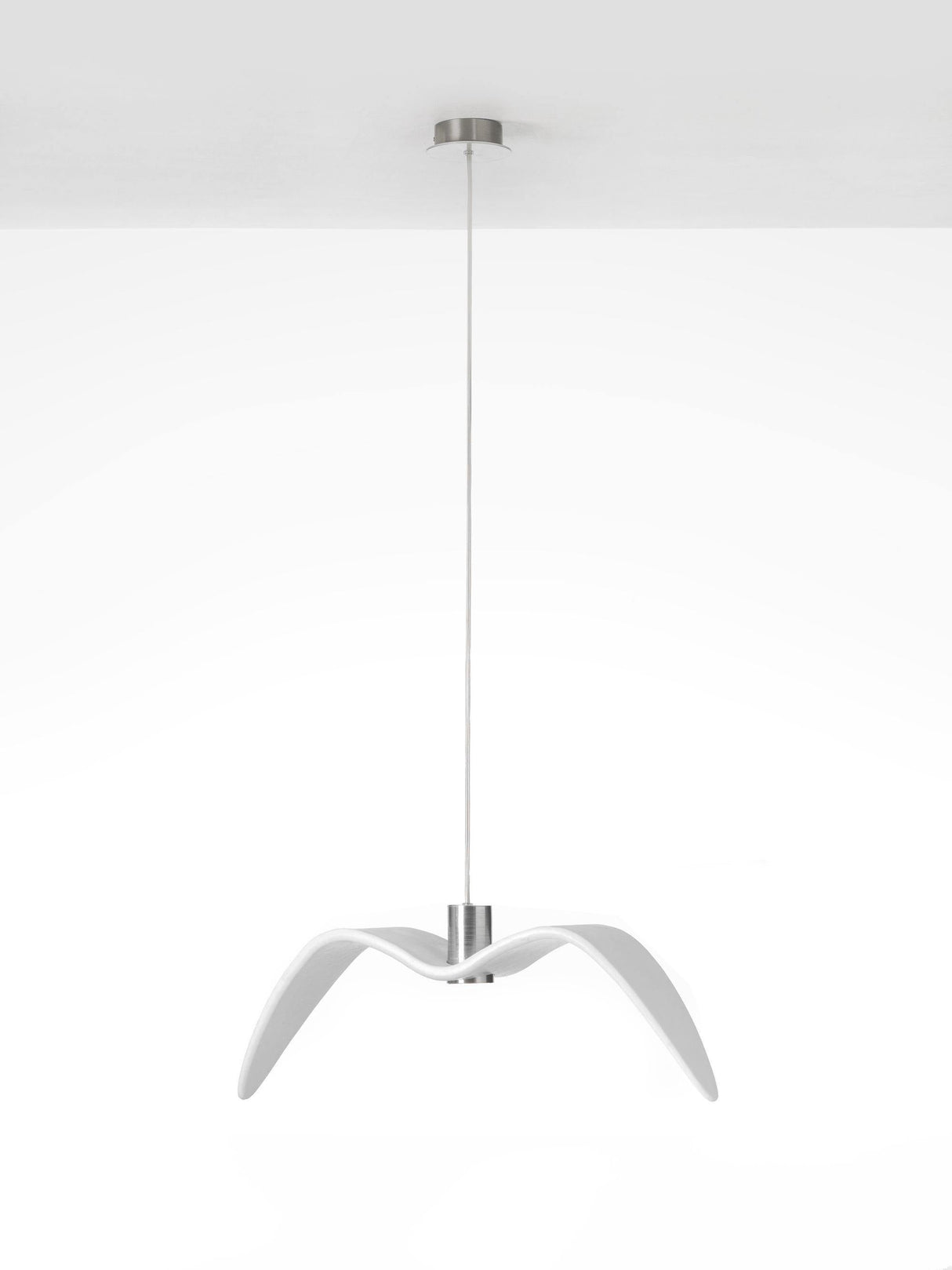 Night Birds Series Lamp