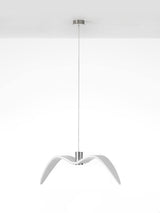 Night Birds Series Lamp