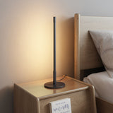 Plumb Rod Plug-In LED Night Light Simple Creative Bedside Table Lamp in Black, Warm/White Light