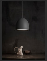 1-Light Pendant