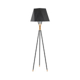 Linear/Capsule/Arch Floor Light Designer Metal Single-Bulb Living Room Standing Lamp in Black