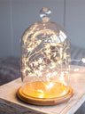 2m Star String Light without Glass Cover 1pc - Novelty Lighting