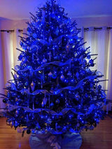 String Light 1pc 5m