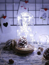 20 Led 2m String Light 2pcs - Novelty Lighting