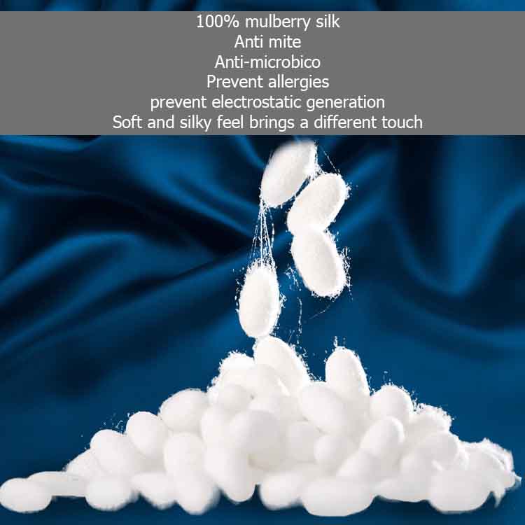 19MM Heavy Moisturizing And Luxurious Pure Mulberry Silk Duvet Cover Bedding Set (Silk Pillowcase /Quilt Cover /Sheet)