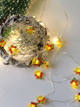 Christmas String Light with 20pcs Bell Bulb 1pc - Lighting & Lamp