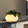 White Glass Oval Table Light Industrial LED Living Room Nightstand Lamp with Plant Decoration
