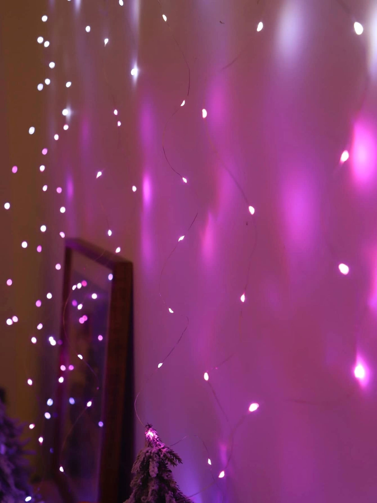 200 Led 2 x 2M Curtain String Light 1pc - Novelty Lighting