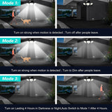 Solar Outdoor Flood Lights