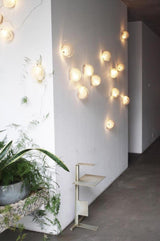 Mesh Glass  Wall Lamp
