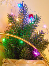 Copper String Light with 30pcs Bulb 1pc - Novelty Lighting