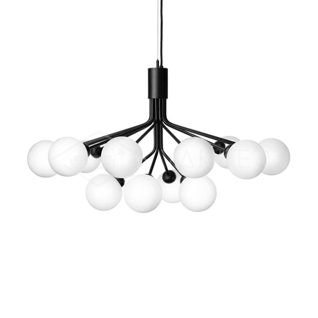 Apiales Chandeliers