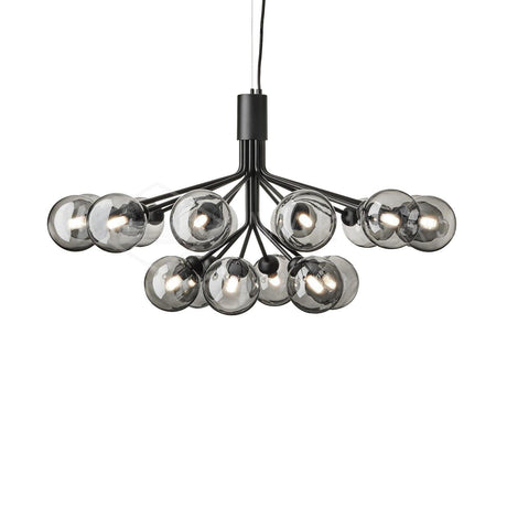 Apiales Chandeliers